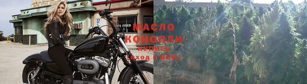 мет Арсеньев