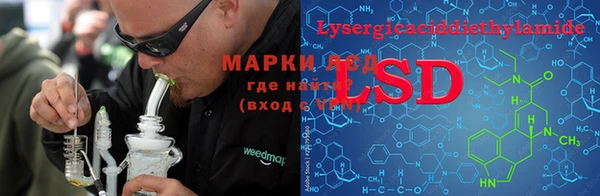 ПСИЛОЦИБИНОВЫЕ ГРИБЫ Аркадак