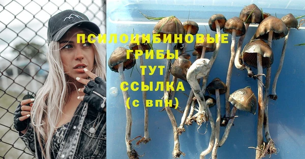 мет Арсеньев