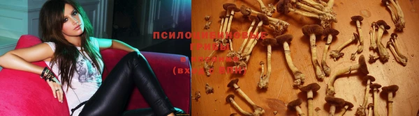 Альфа ПВП Армянск