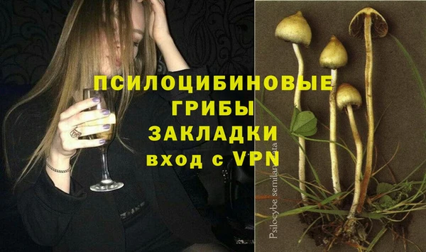 мет Арсеньев