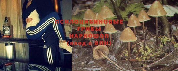 ПСИЛОЦИБИНОВЫЕ ГРИБЫ Аркадак