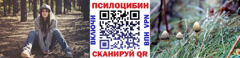 Галлюциногенные грибы Psilocybine cubensis  Заречный 